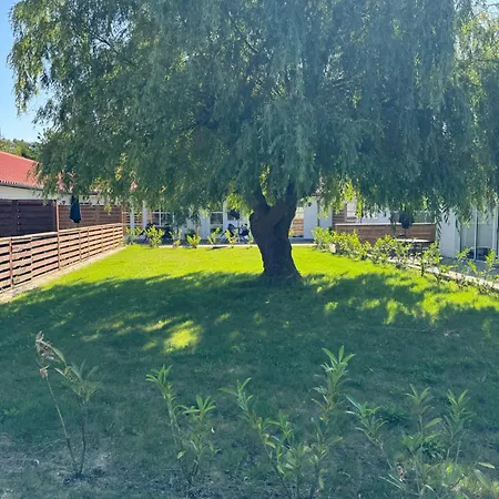 Apartman Boto 4